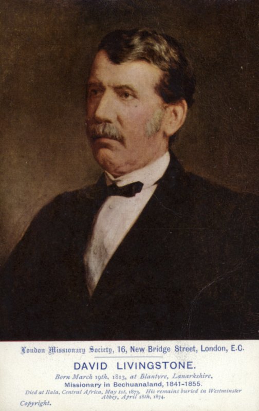 David Livingstone autorstwa English School