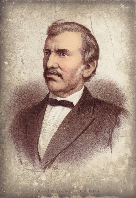 David Livingstone, odkrywca autorstwa English School