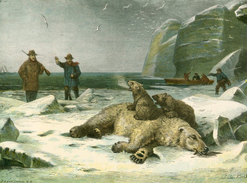 Martwy niedźwiedź polarny i młode autorstwa English School