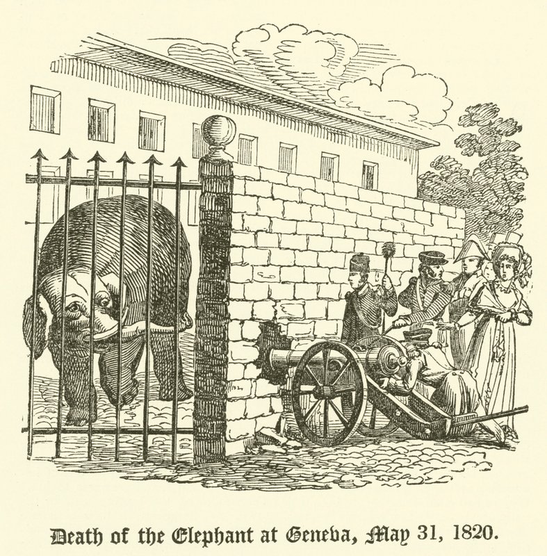 Śmierć słonia w Genewie, 31 maja 1820 r. autorstwa English School