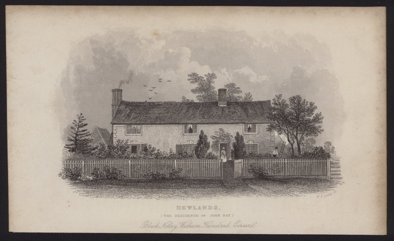 Dewlands, rezydencja Johna Raya, Black Notley, Witham Hundred, Essex (rycina) autorstwa English School