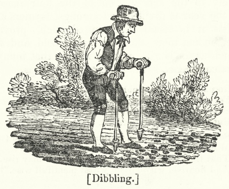 Dibbling autorstwa English School