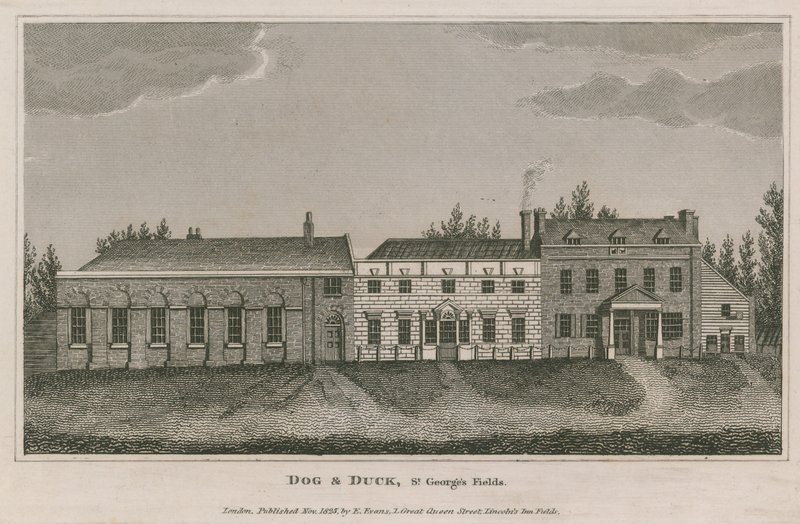 Pies i Kaczka, St Georges Fields, Lambeth autorstwa English School