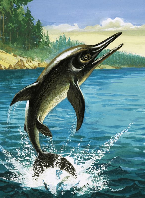 Delfin autorstwa English School
