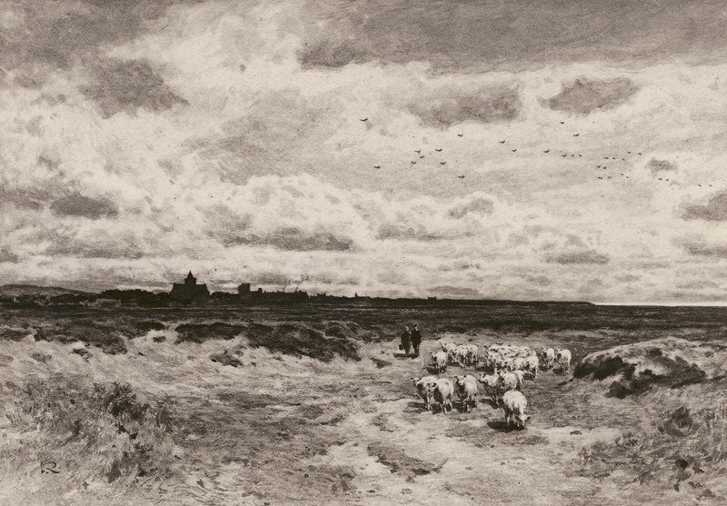 Dornoch, według G Reid, RSA (litografia) autorstwa English School