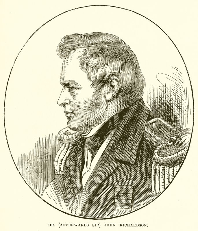 Dr (później Sir) John Richardson autorstwa English School