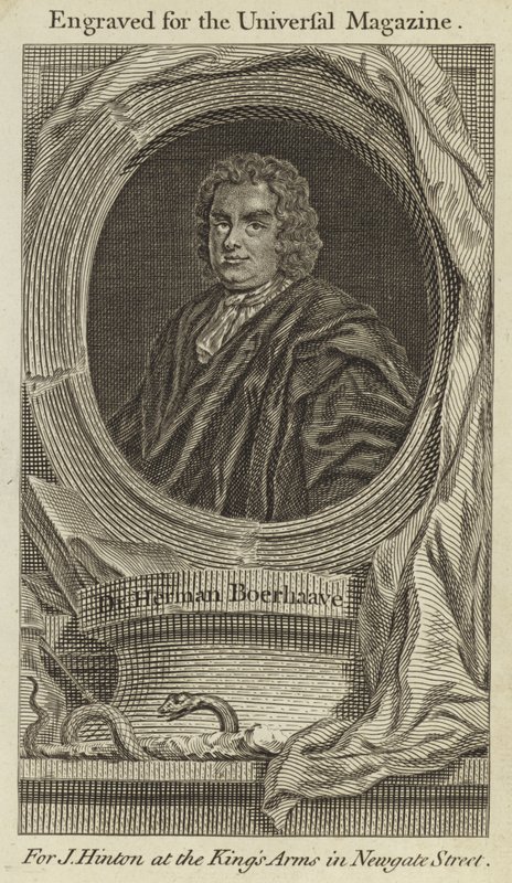 Dr Herman Boerhaave autorstwa English School