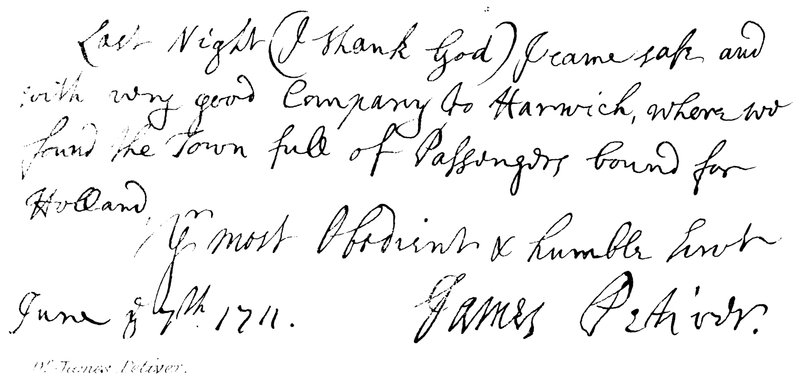 Dr James Peter autorstwa English School