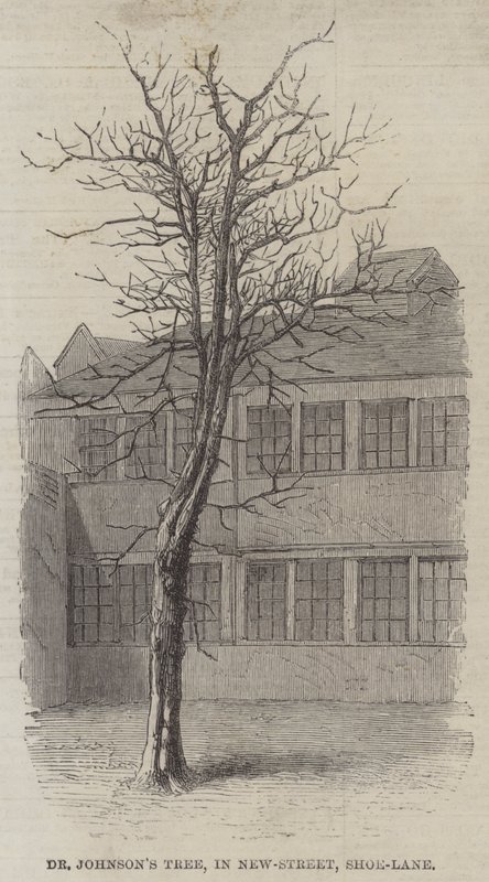 Drzewo Dr Johnsona, w New-Street, Shoe-Lane (grawerowanie) autorstwa English School