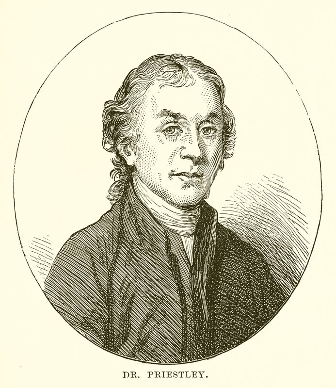 Dr Priestley autorstwa English School