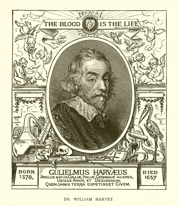 dr William Harvey autorstwa English School