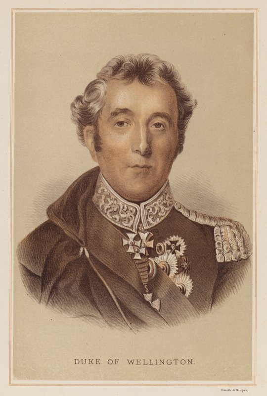 Duke of Wellington (kolor lito) autorstwa English School