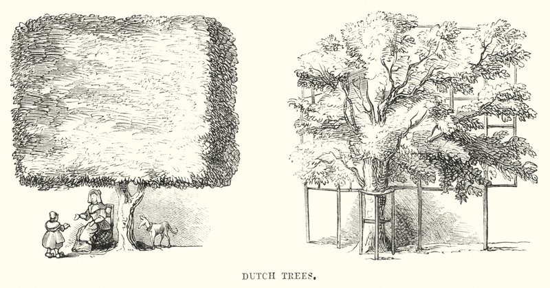 Drzewa holenderskie (grawerowanie) autorstwa English School
