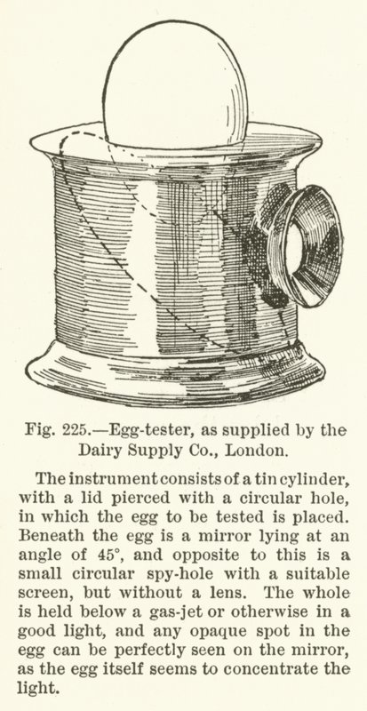 Tester jaj, dostarczony przez Dairy Supply Company, Londyn autorstwa English School