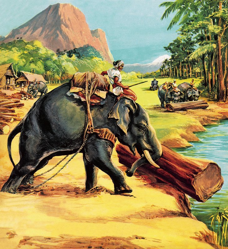 Słoń. Ilustracja z filmu Elephant Bill autorstwa Liueta. płk JH Williams autorstwa English School