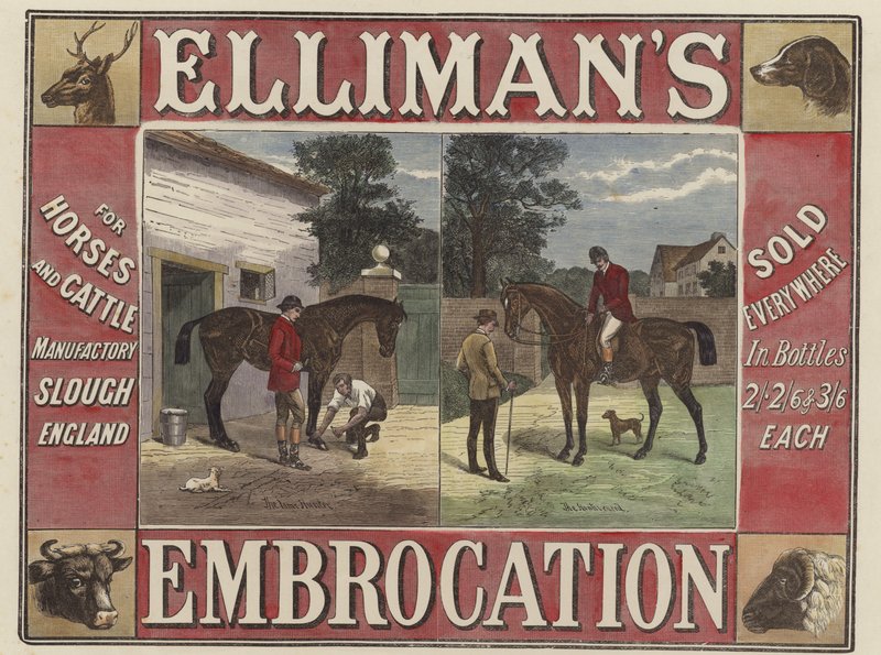 Ellimans Embraction autorstwa English School