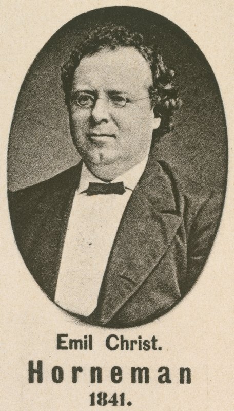 Emil Christian Horneman (grawiura) autorstwa English School