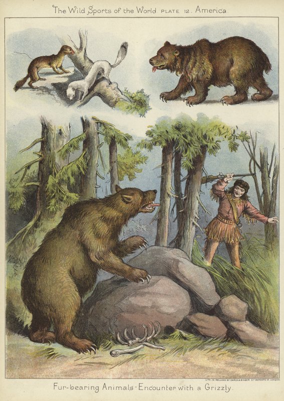 Spotkanie z grizzly autorstwa English School
