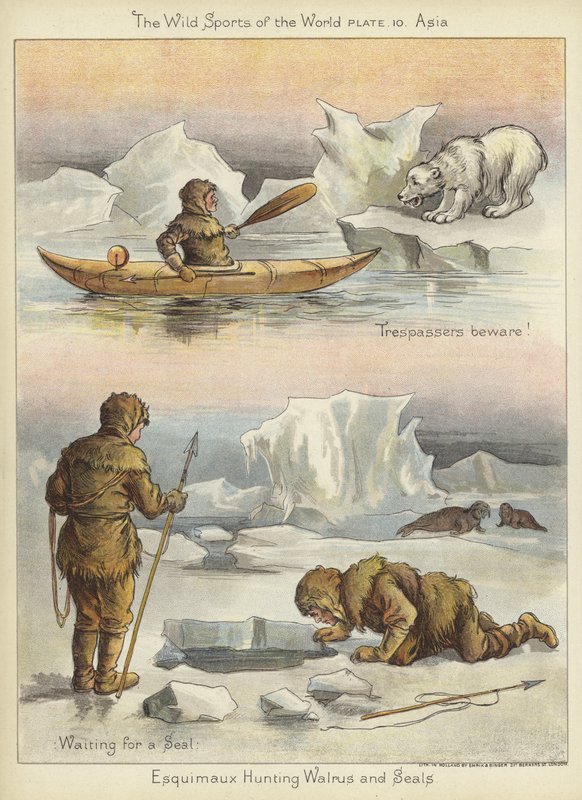 Eskimos polujący na morsa i foki autorstwa English School