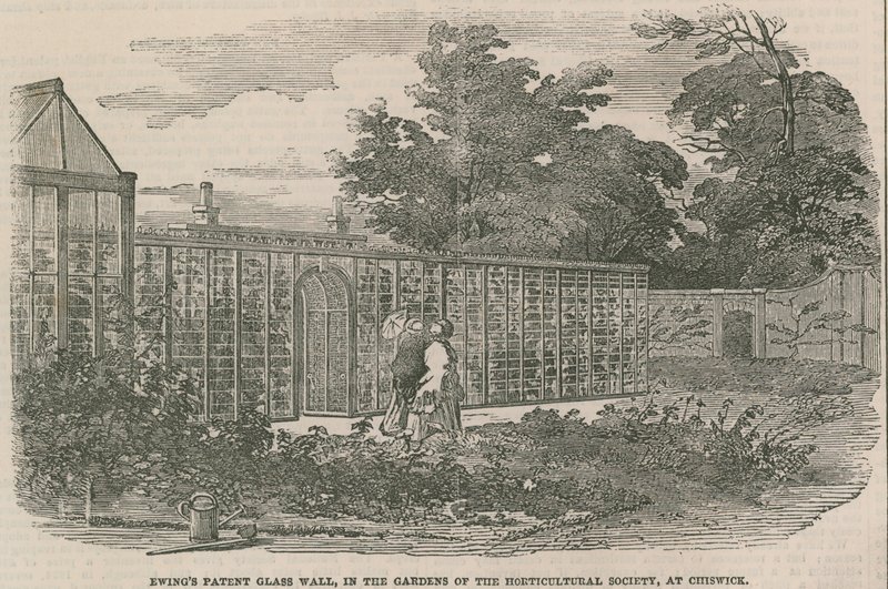 Ewings Patent Glass Wall, w ogrodach Towarzystwa Ogrodniczego w Chiswick autorstwa English School