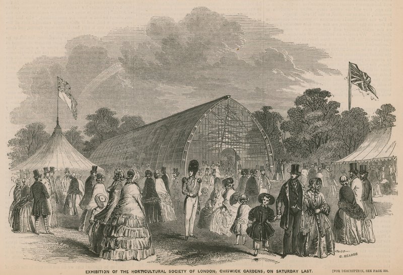 Wystawa Horticultural Society of London, Chiswick Gardens autorstwa English School