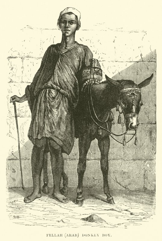 Fellah, Arab; chłopiec osioł autorstwa English School