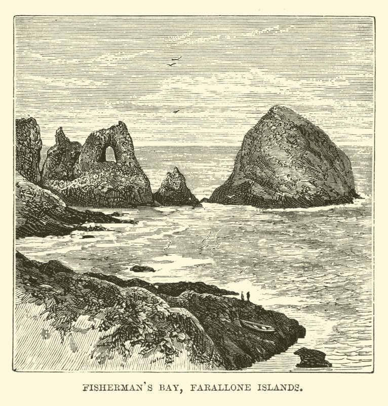 Zatoka Rybaków, Wyspy Farallon autorstwa English School