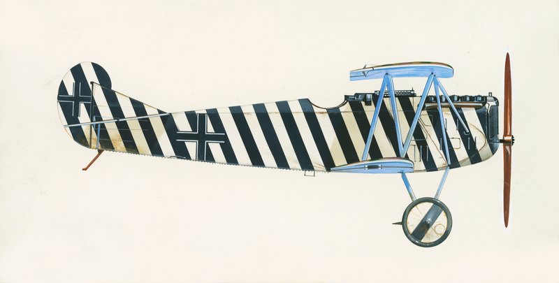 Hodowca D VII autorstwa English School