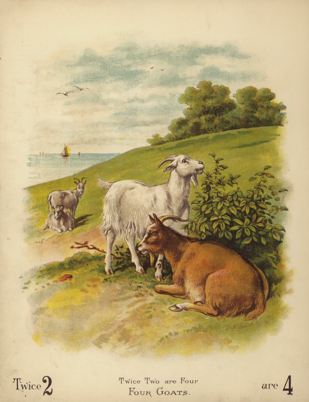 Cztery kozy (chromolit) autorstwa English School