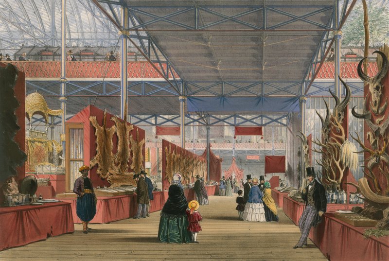 Futra, Wielka Wystawa 1851 autorstwa English School