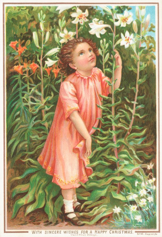 DZIEWCZYNA pachnąca liliami w ogrodzie, Kartka Świąteczna autorstwa English School