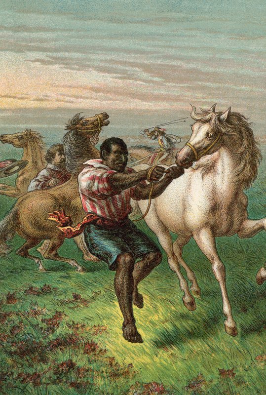 Żołnierze Garibaldiego łamią dzikie konie autorstwa English School