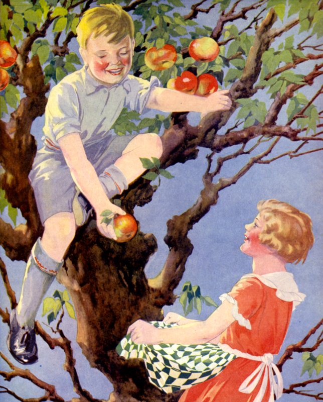 Zbieranie Jabłka (kolor lito) autorstwa English School