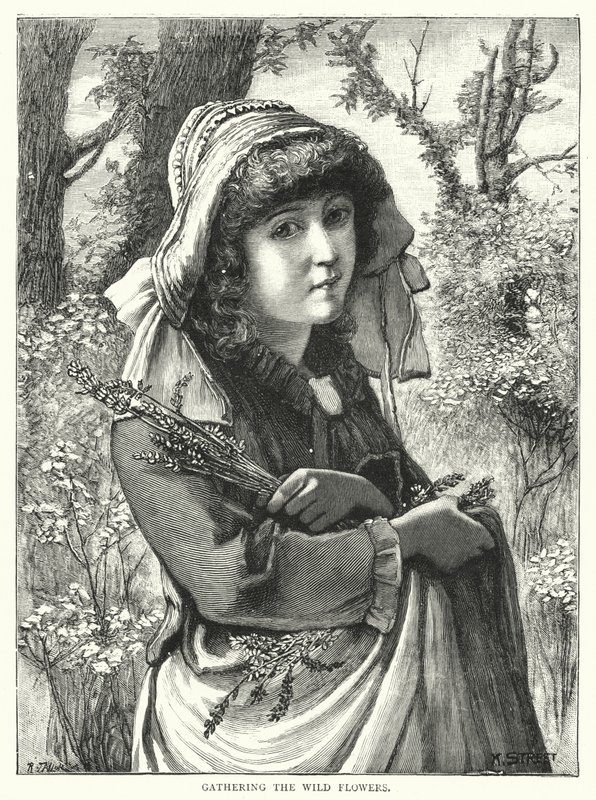 Zbieranie polnych kwiatów (grawerunek) autorstwa English School