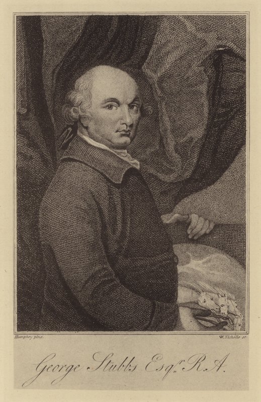 George Stubbs autorstwa English School