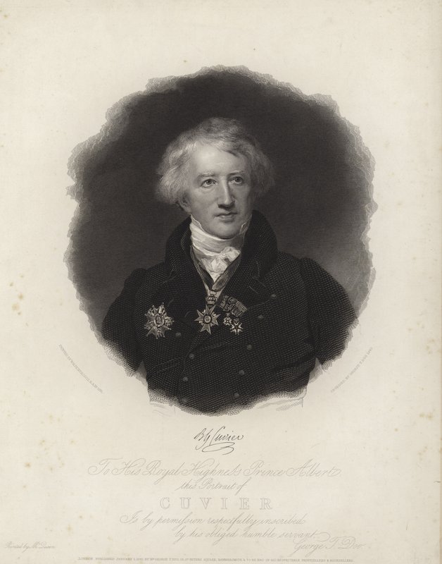 George Cuvier autorstwa English School