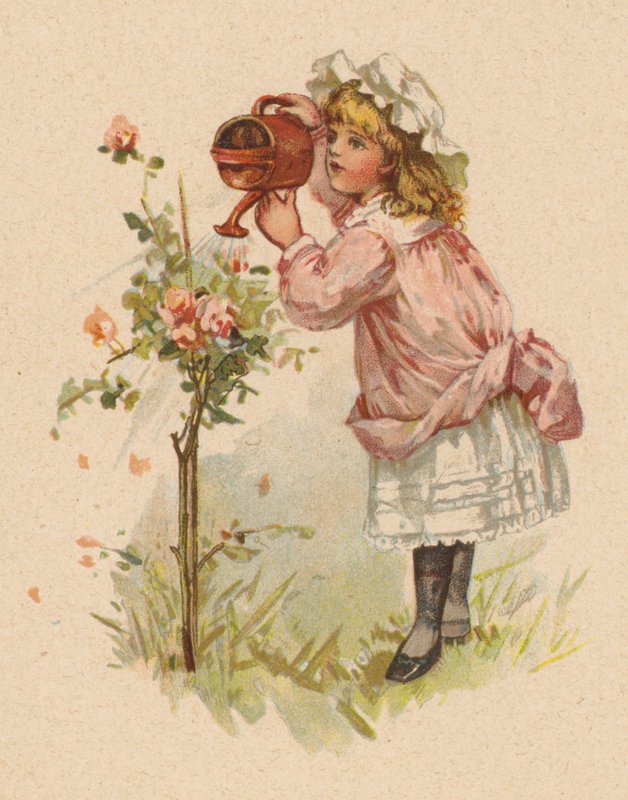 Dziewczyna podlewa róże (chromolitho) autorstwa English School