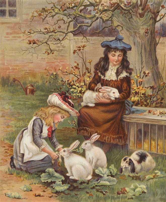 Dziewczynki opiekujące się swoimi królikami (chromolitho) autorstwa English School