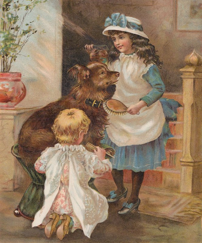 Dziewczyny pielęgnujące swojego psa (chromolitho) autorstwa English School