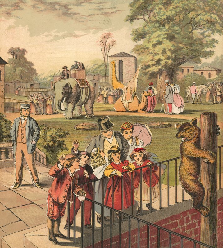 Iść do zoo autorstwa English School