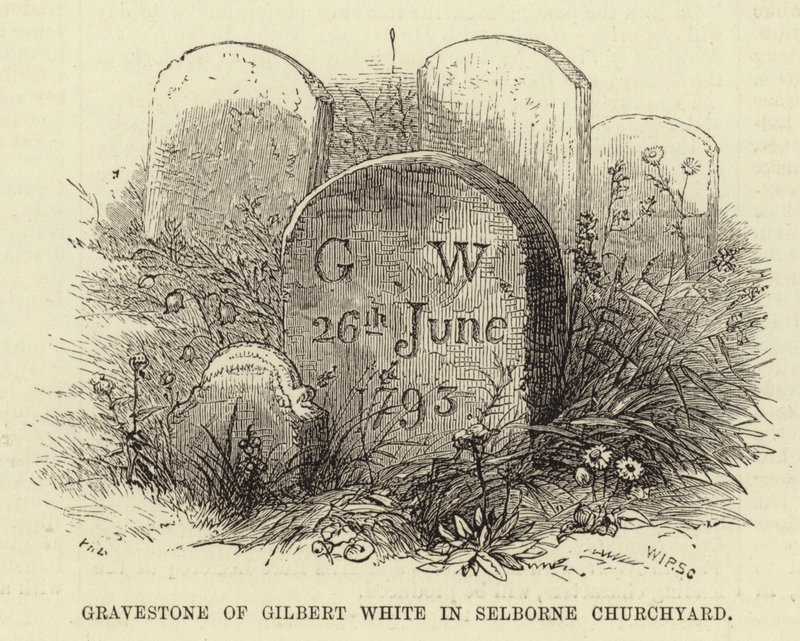 Nagrobek Gilberta White