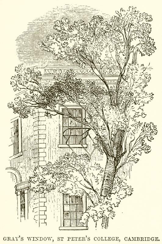 Okno szarości, St Peters College, Cambridge autorstwa English School