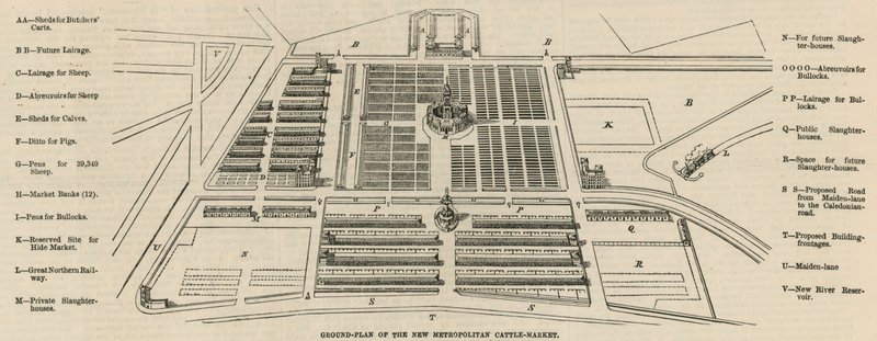 Plan terenu nowego Metropolitan Cattle Market, Copenhagen Fields autorstwa English School