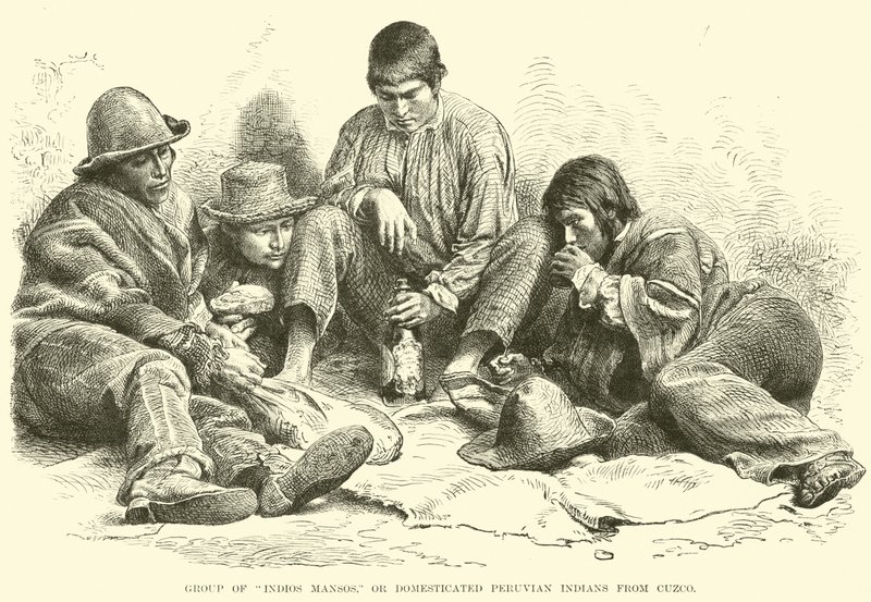 Grupa Indios Mansos, czyli udomowionych peruwiańskich Indian z Cuzco autorstwa English School