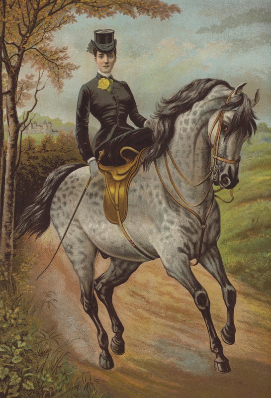 HRH księżna Walii (chromolit) autorstwa English School
