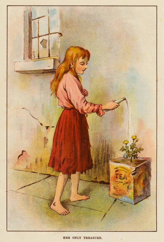 Jej jedyny skarb (kolor lito) autorstwa English School