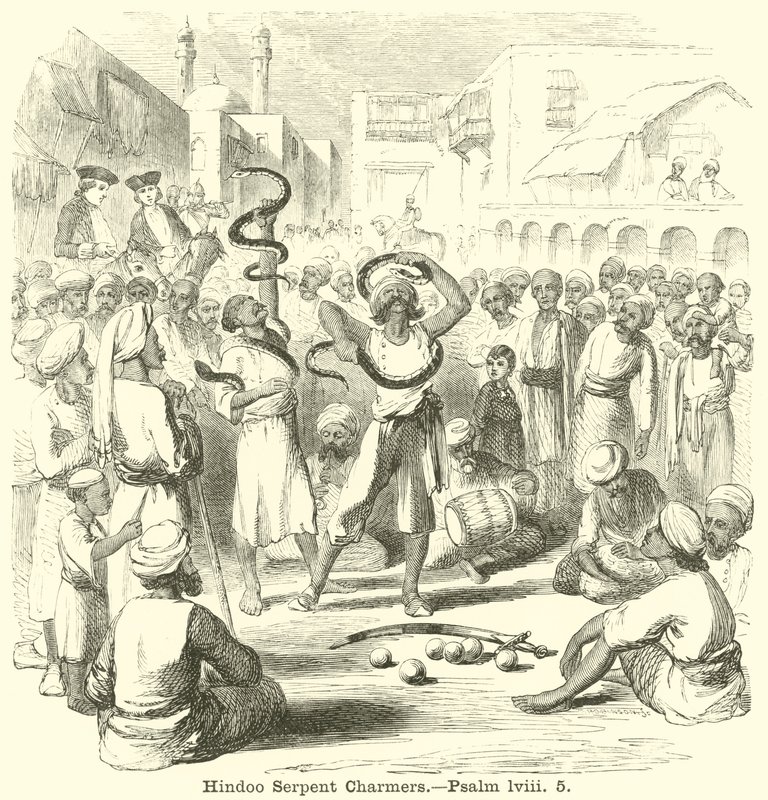 Zaklinacze węży hinduskich, Psalm, lviii, 5 autorstwa English School