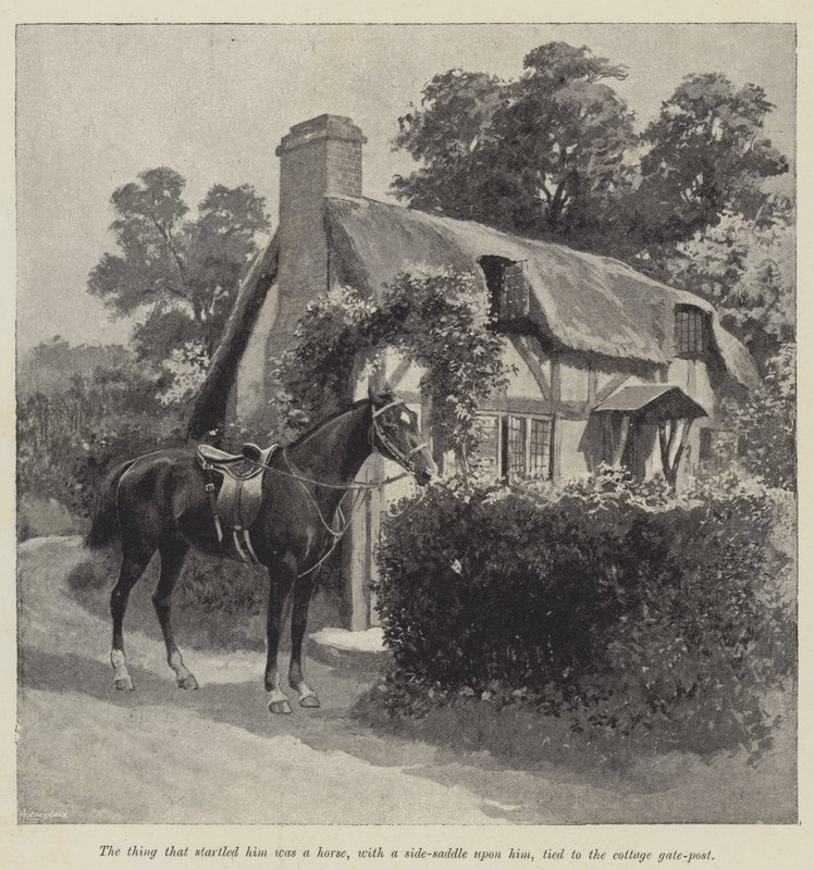 Jego dobra wróżka, Mary Elizabeth Braddon (rycina) autorstwa English School