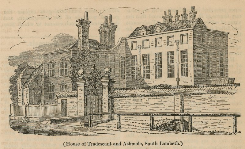 House of Tradescant i Ashmole, South Lambeth autorstwa English School