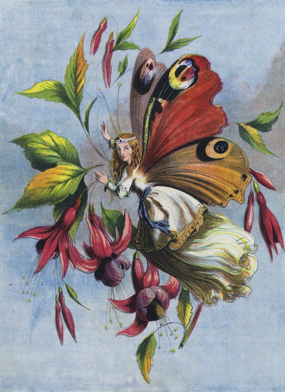 Jak Lady Butterfly spędziła dzień (kolorowa litografia) autorstwa English School